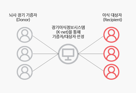 장기이식정보시스템 (K-net)을 통해 기증자와 대상자를 매칭