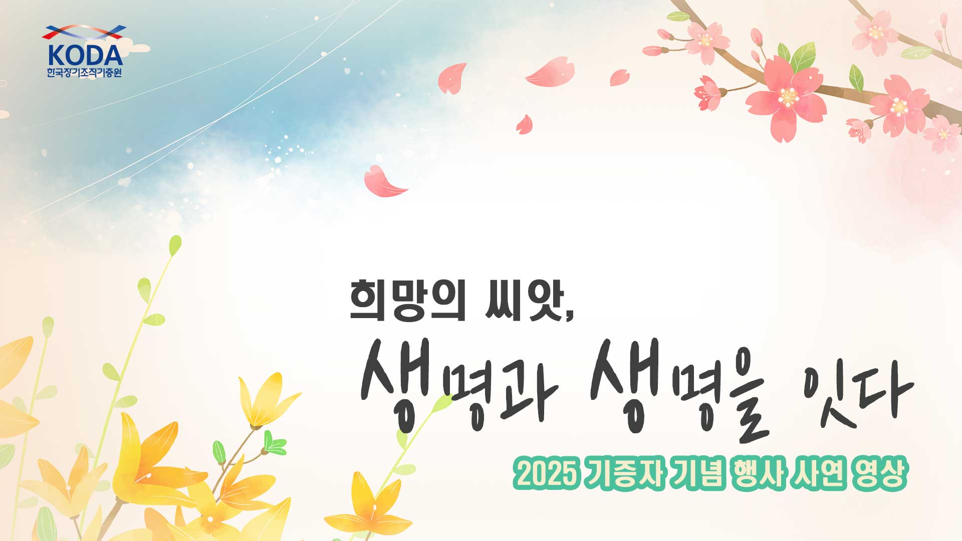 [2025 생명나눔 기증자 기념 행사] '생명을 잇다' 이식 의료인 사연 영상