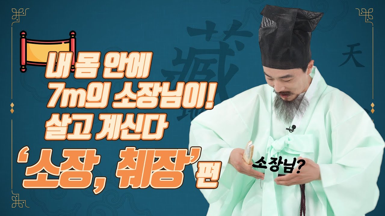 내 몸 안에 7m의 소장님이 살고 계신다!!   장기백서 5 '소장, 췌장 편'