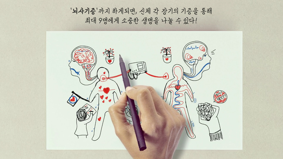 영상 ‘뇌사와 식물인간의 차이를 살펴볼까?’